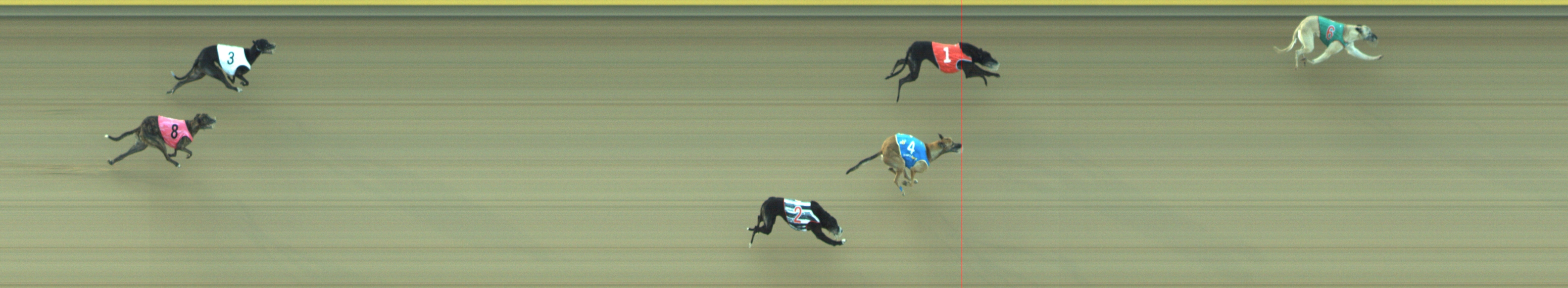 Photo finish for Geelong Race 6