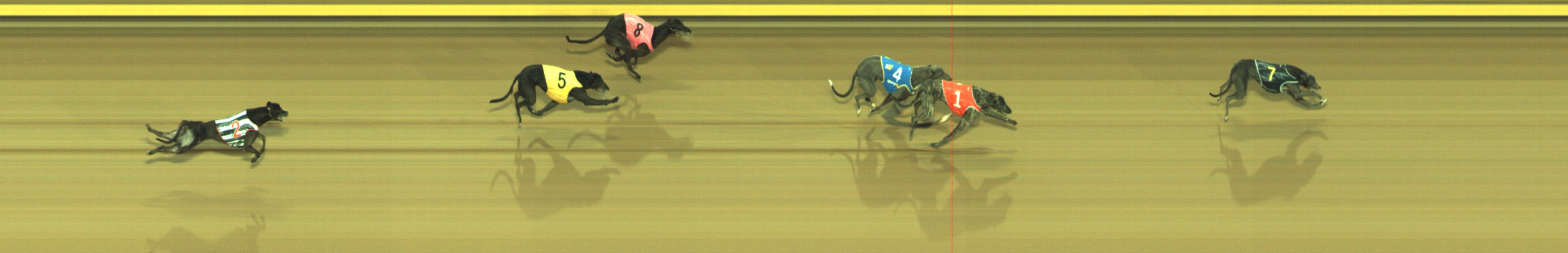 Photo finish for Geelong Race 7