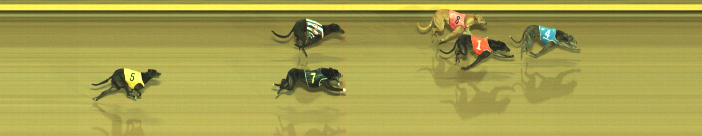 Photo finish for Geelong Race 8