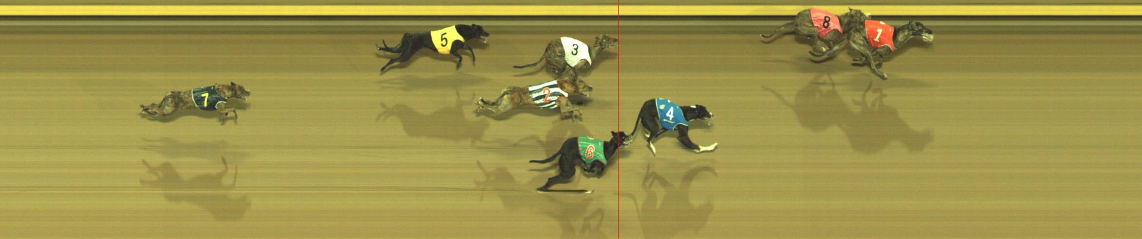 Photo finish for Geelong Race 9