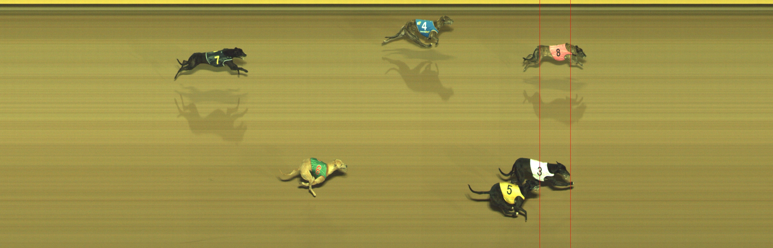 Photo finish for Geelong Race 10