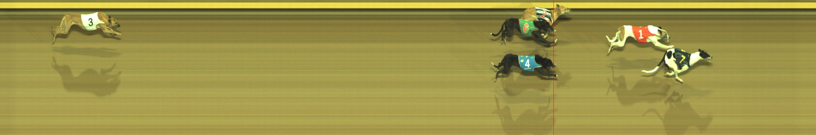 Photo finish for Geelong Race 11
