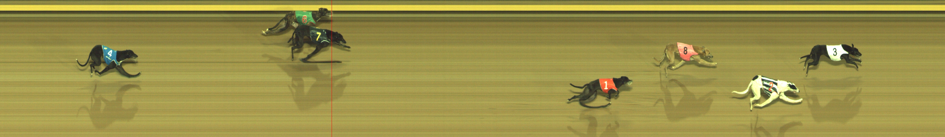 Photo finish for Geelong Race 12