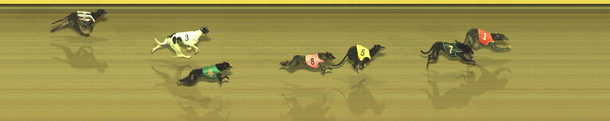 Photo finish for Geelong Race 13