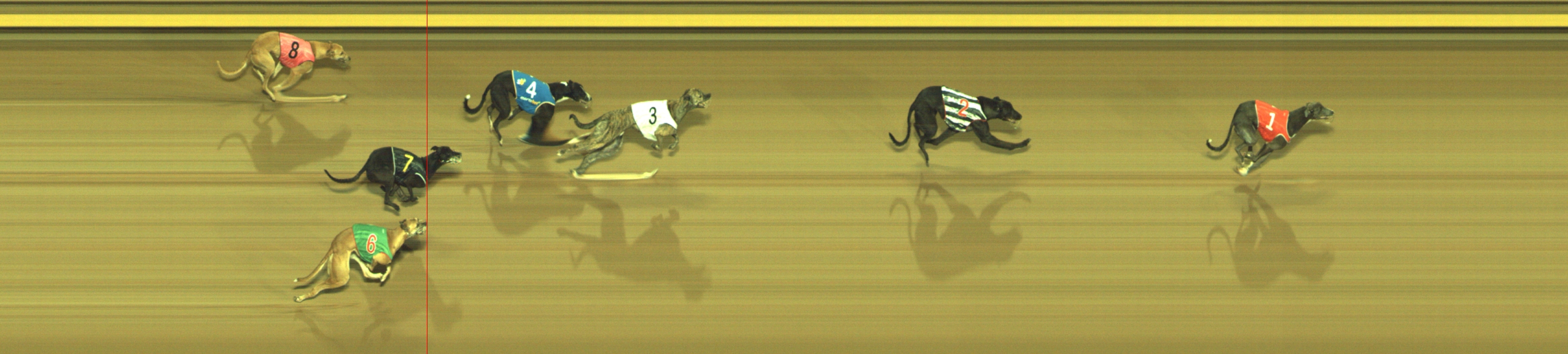 Photo finish for Geelong Race 1