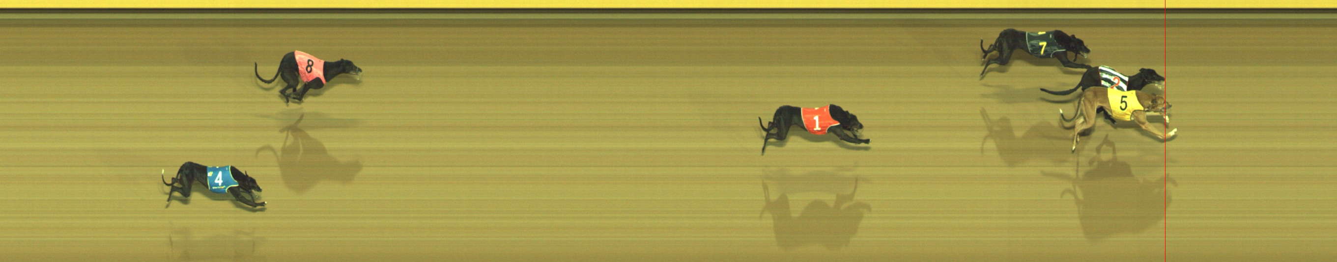 Photo finish for Geelong Race 2