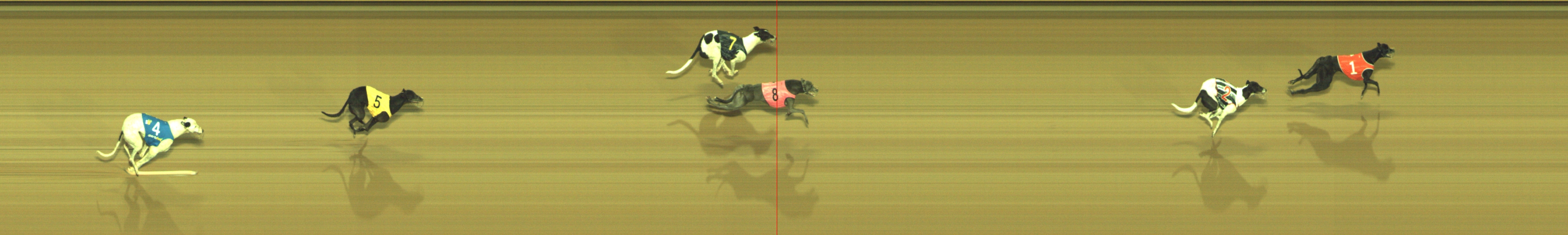 Photo finish for Geelong Race 3