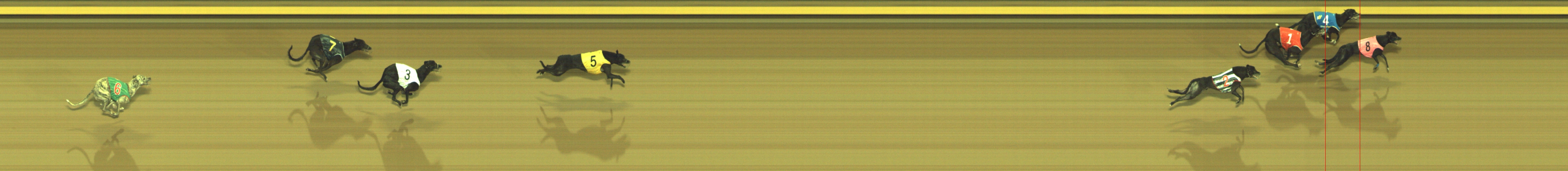 Photo finish for Geelong Race 4