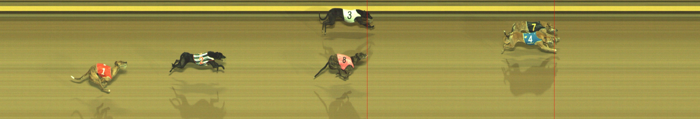 Photo finish for Geelong Race 5
