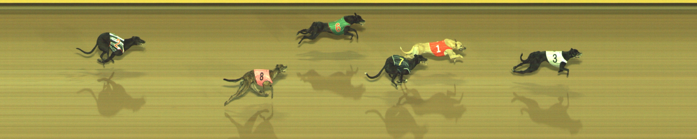 Photo finish for Geelong Race 6