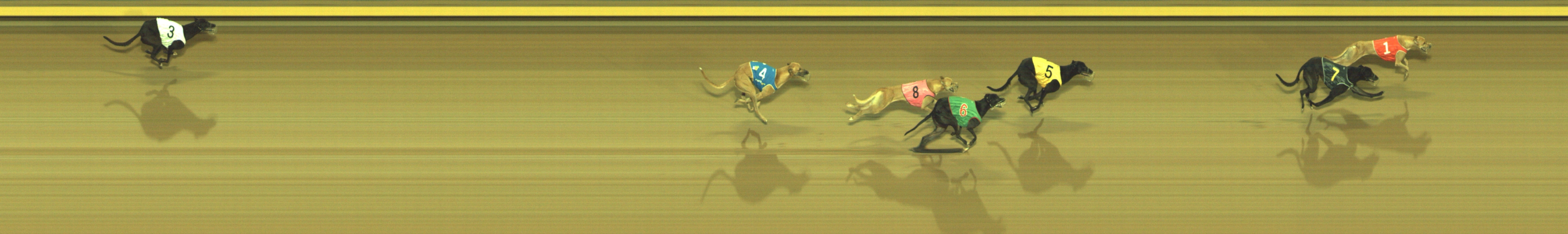 Photo finish for Geelong Race 7