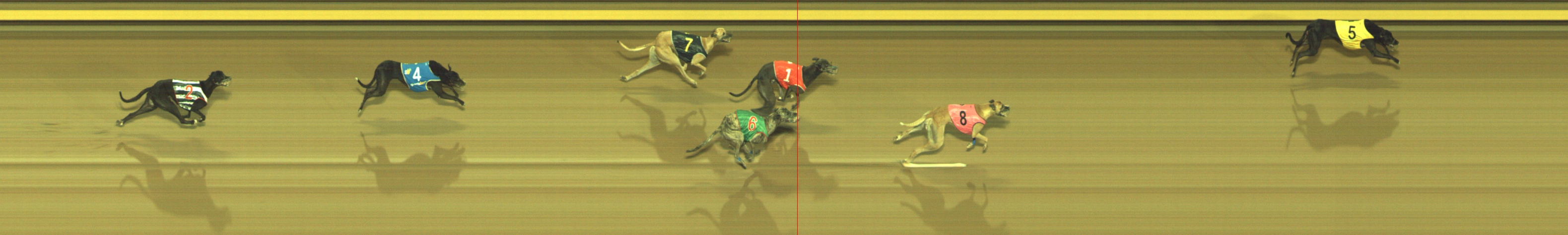 Photo finish for Geelong Race 8