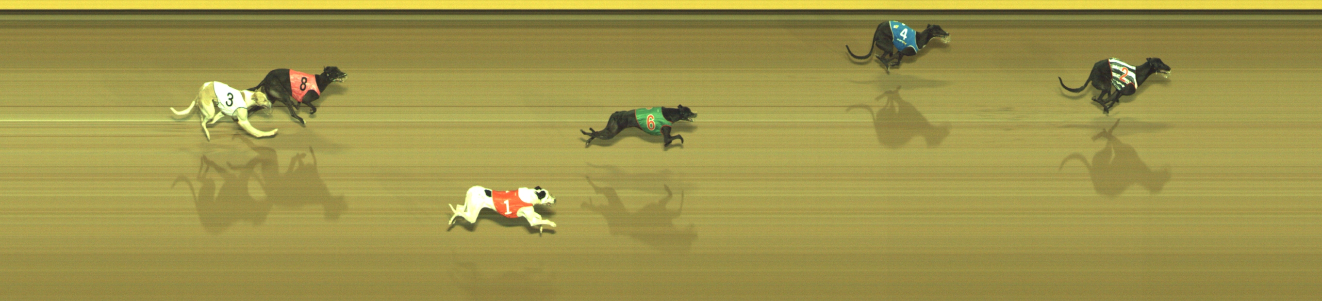 Photo finish for Geelong Race 9