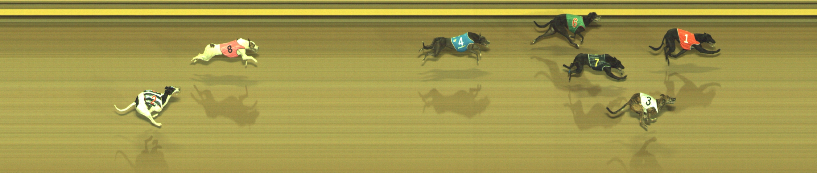 Photo finish for Geelong Race 10