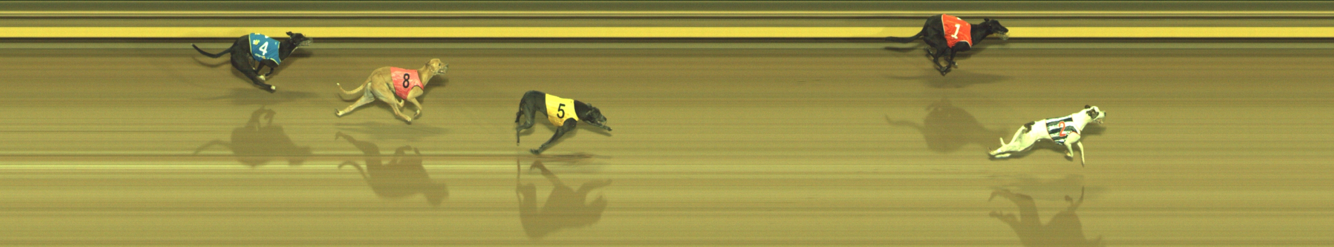 Photo finish for Geelong Race 11