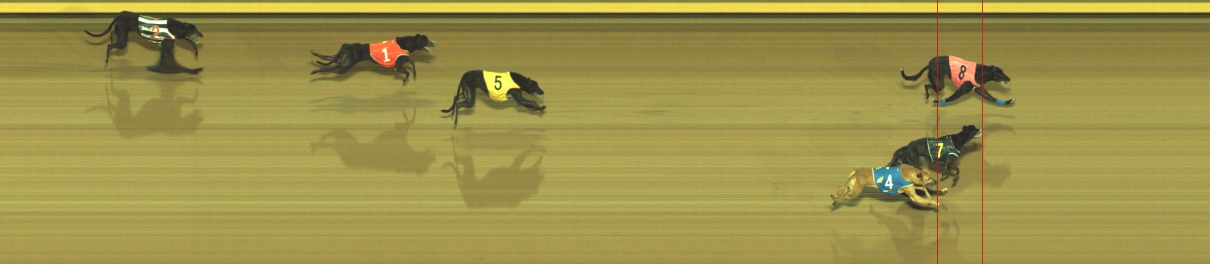 Photo finish for Geelong Race 12