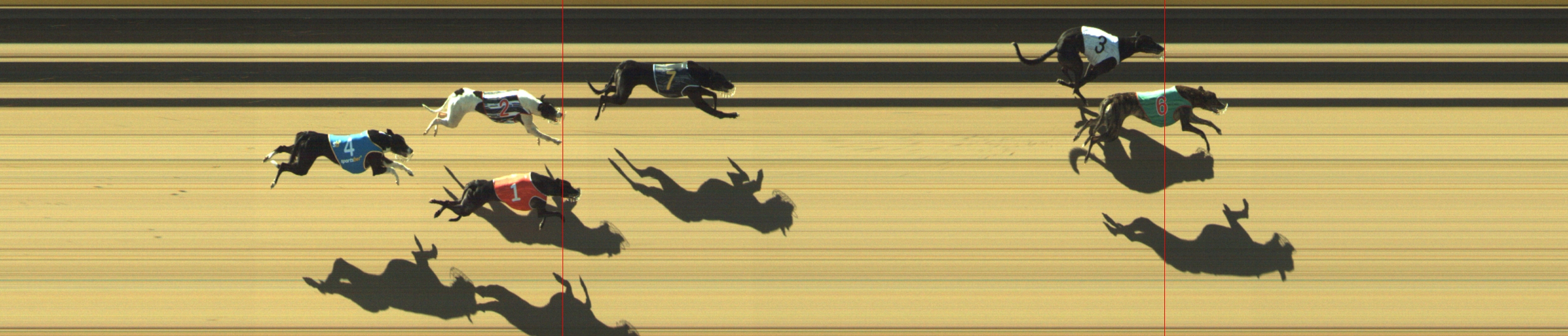 Photo finish for Geelong Race 1