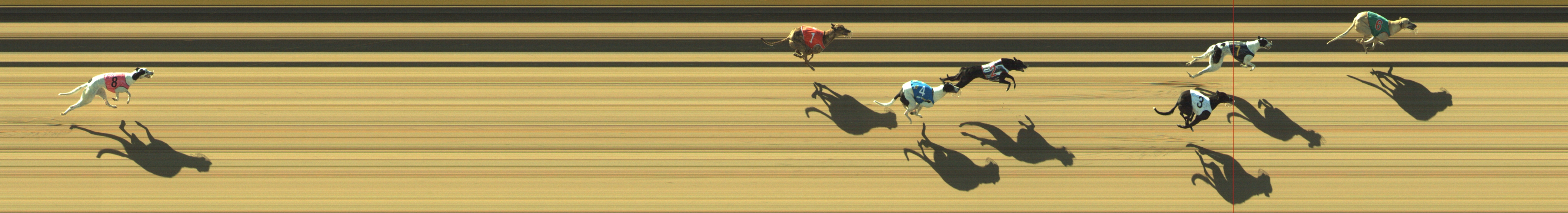 Photo finish for Geelong Race 2