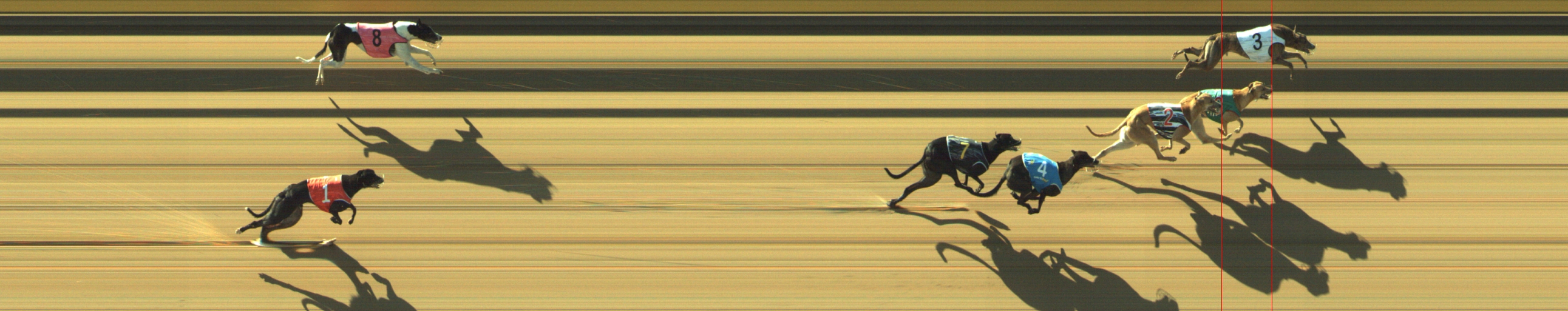 Photo finish for Geelong Race 3