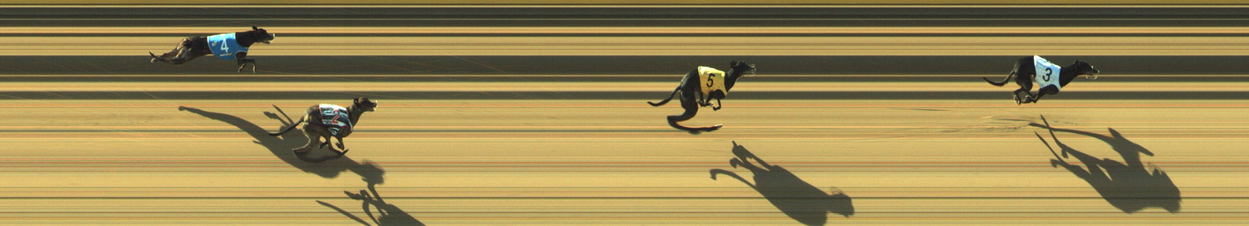 Photo finish for Geelong Race 4