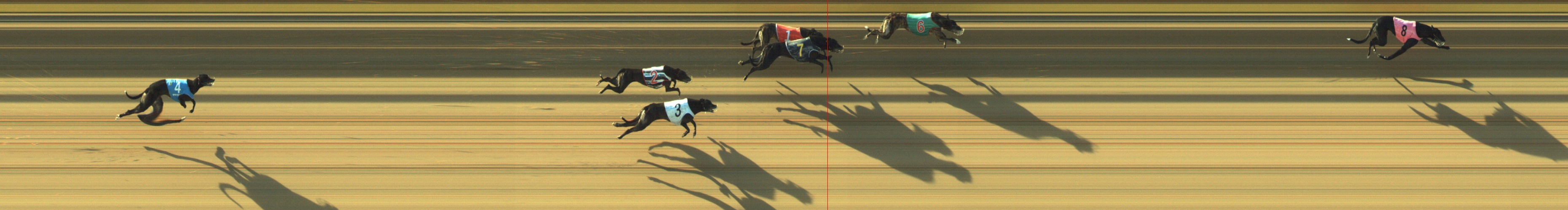 Photo finish for Geelong Race 5