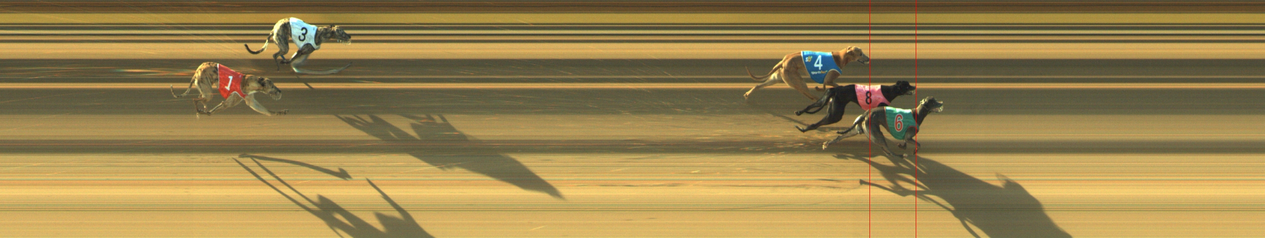 Photo finish for Geelong Race 6