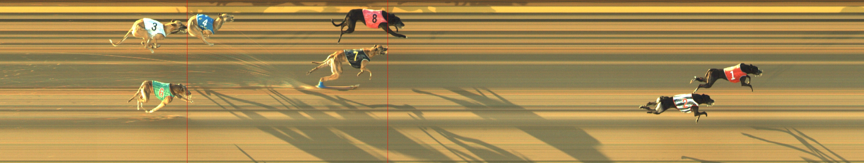 Photo finish for Geelong Race 7