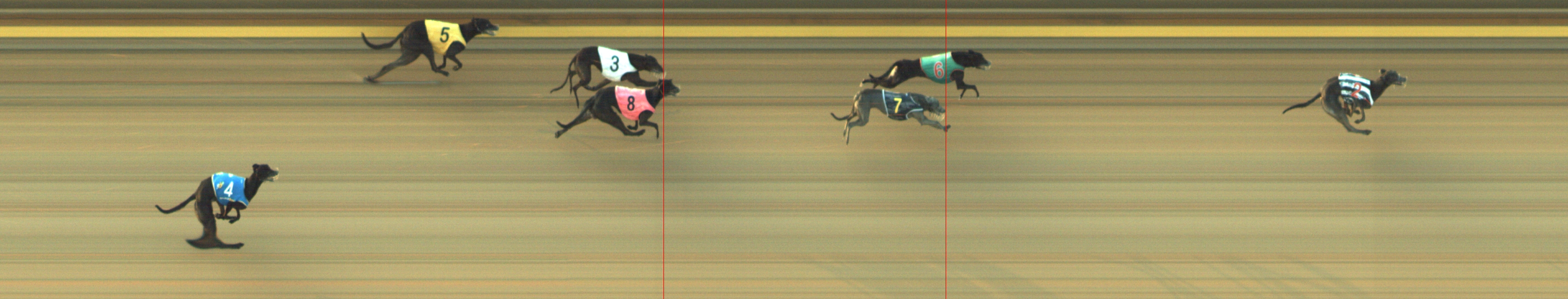Photo finish for Geelong Race 8