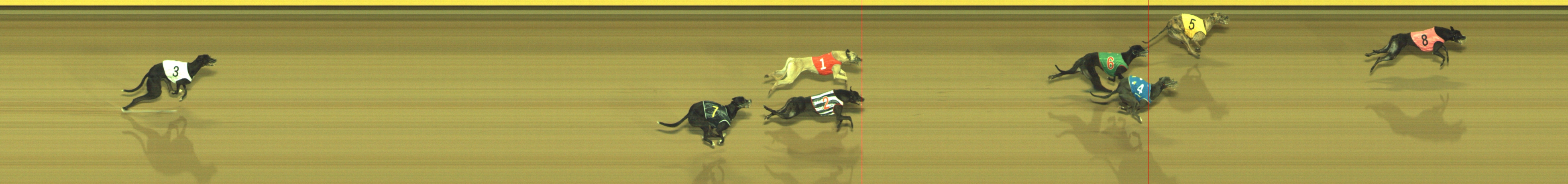 Photo finish for Geelong Race 9