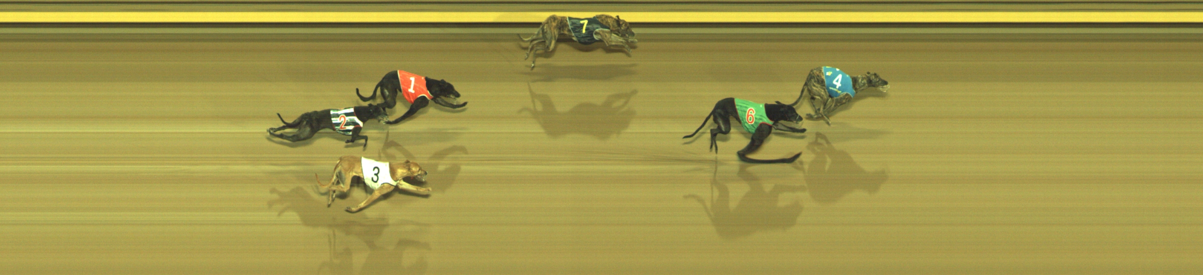Photo finish for Geelong Race 10