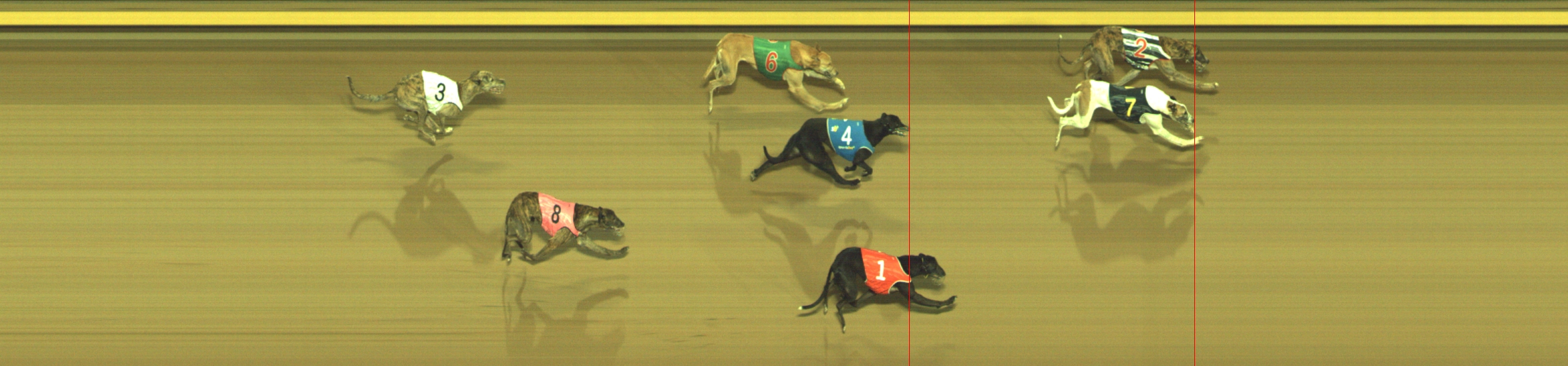 Photo finish for Geelong Race 11