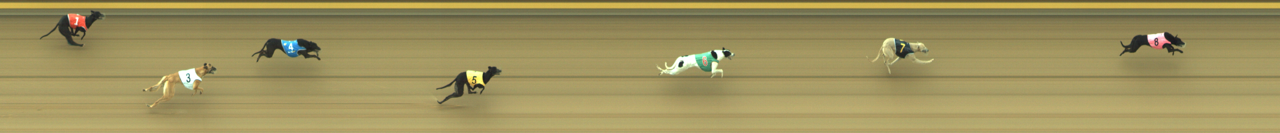 Photo finish for Geelong Race 1