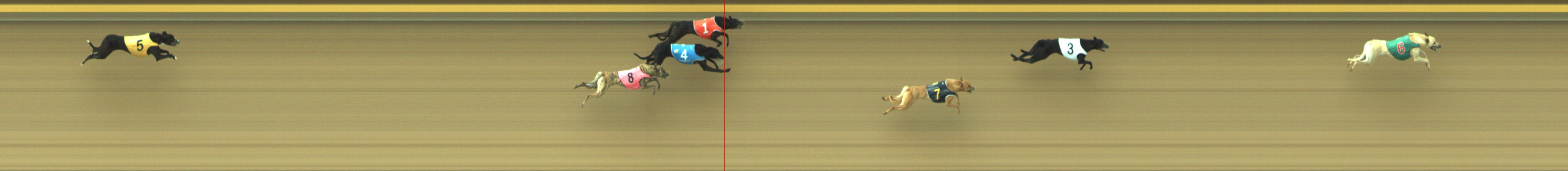 Photo finish for Geelong Race 2
