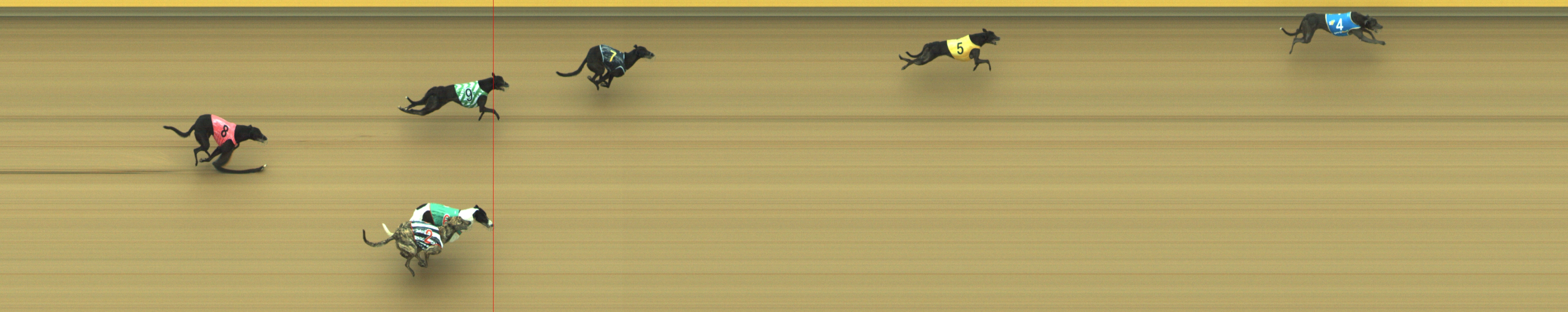 Photo finish for Geelong Race 3