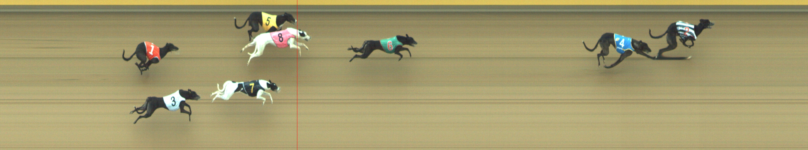 Photo finish for Geelong Race 4