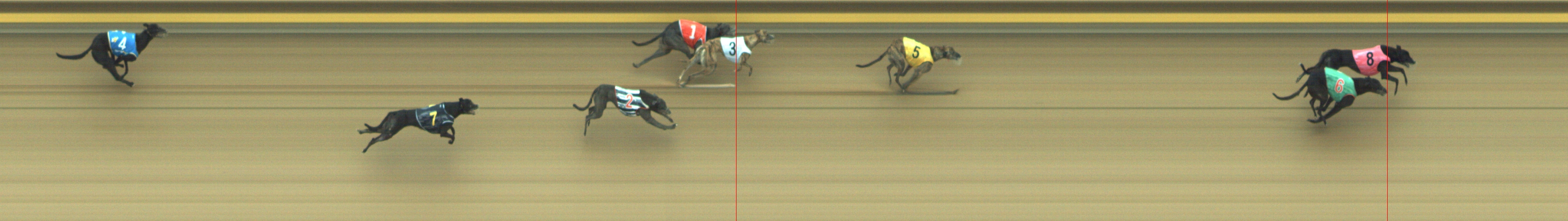 Photo finish for Geelong Race 5
