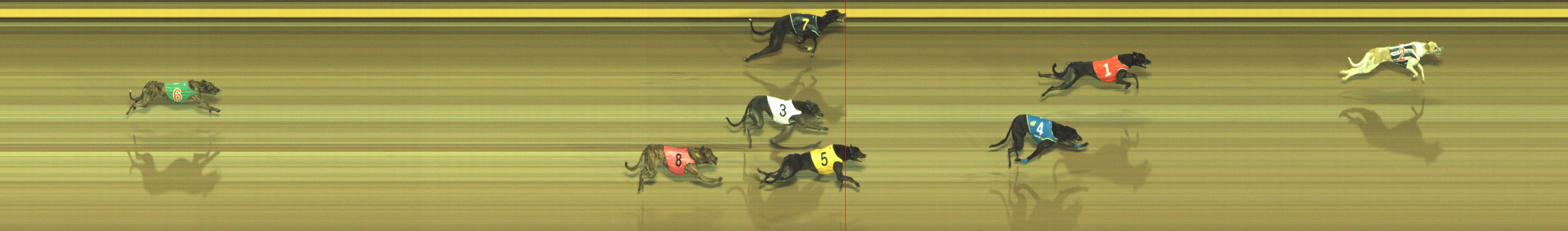 Photo finish for Geelong Race 7