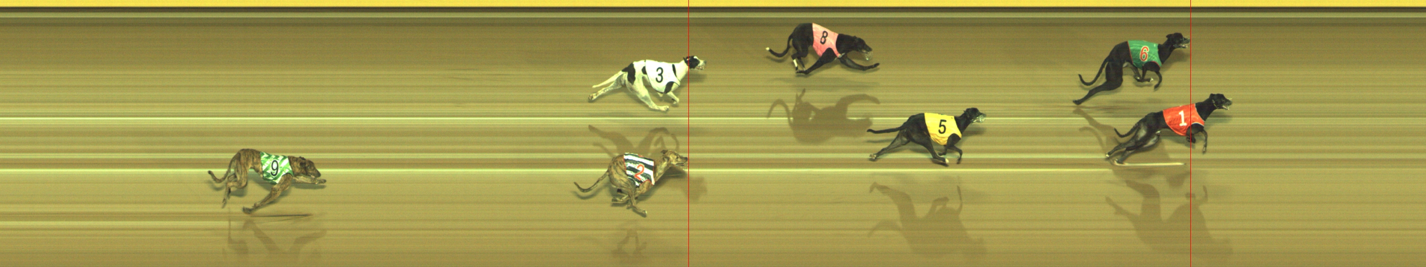 Photo finish for Geelong Race 8