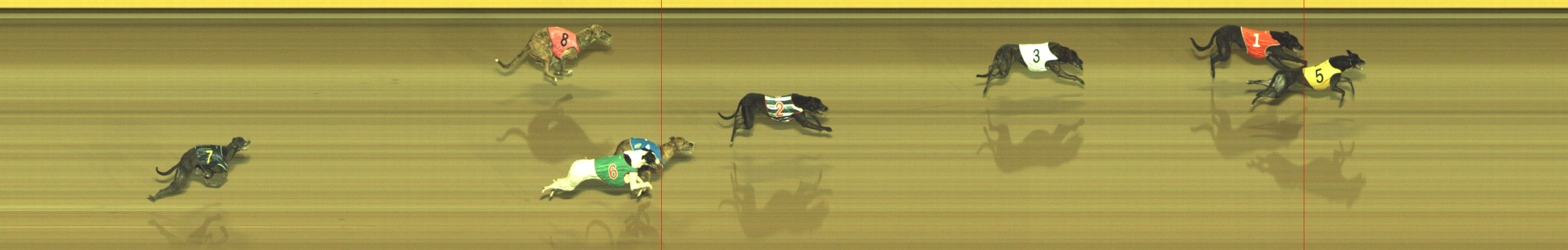 Photo finish for Geelong Race 9
