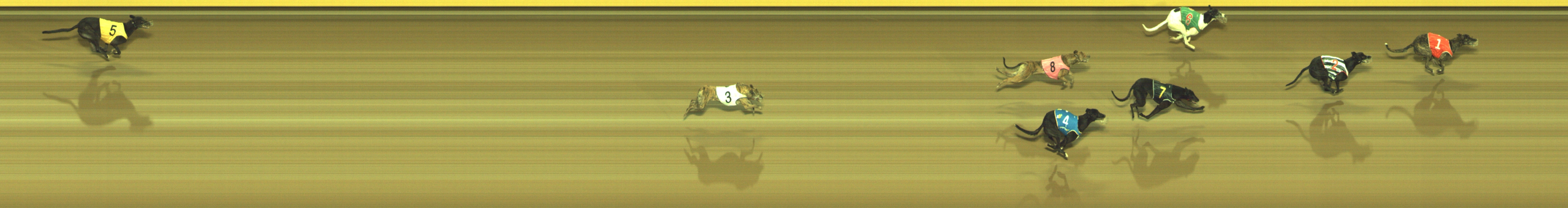 Photo finish for Geelong Race 10