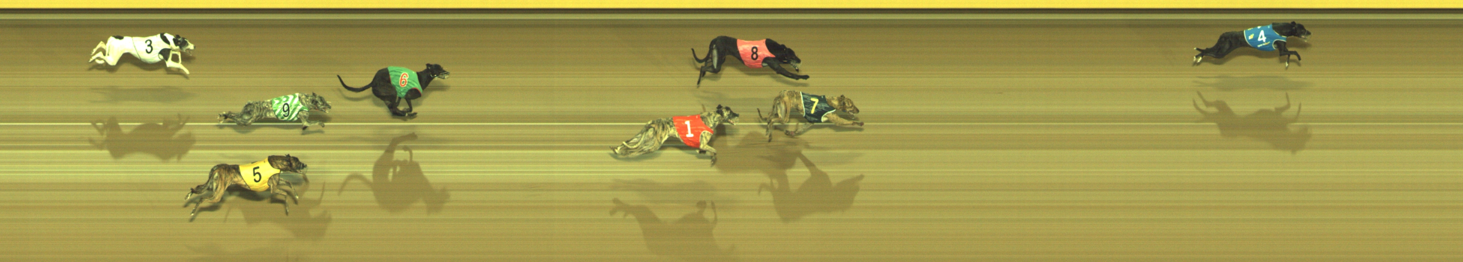 Photo finish for Geelong Race 11