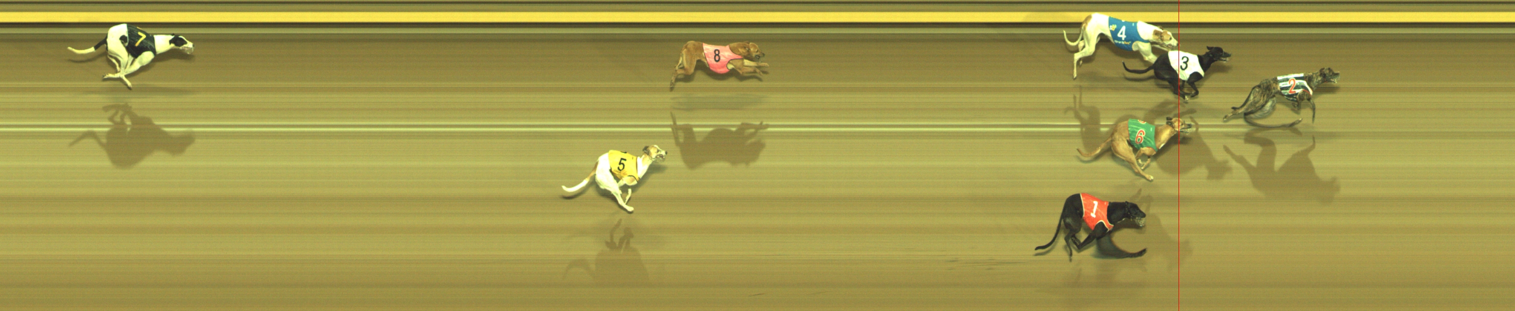 Photo finish for Geelong Race 12