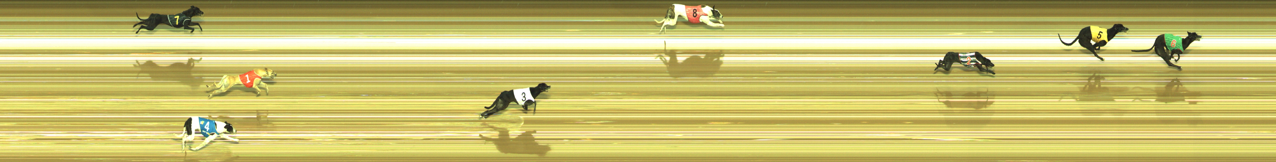 Photo finish for Geelong Race 1