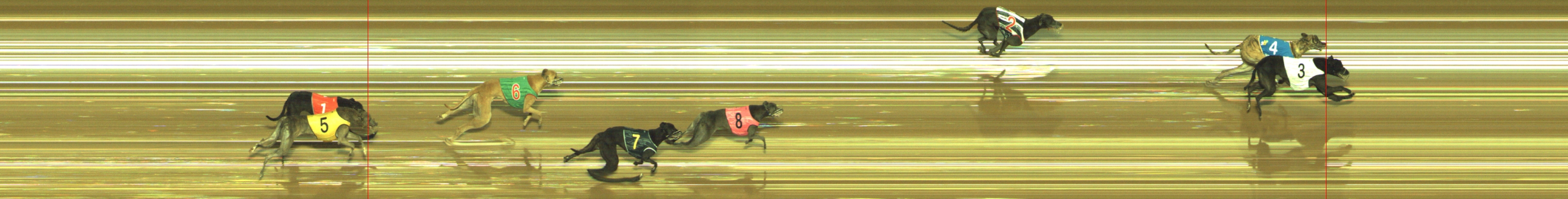Photo finish for Geelong Race 2