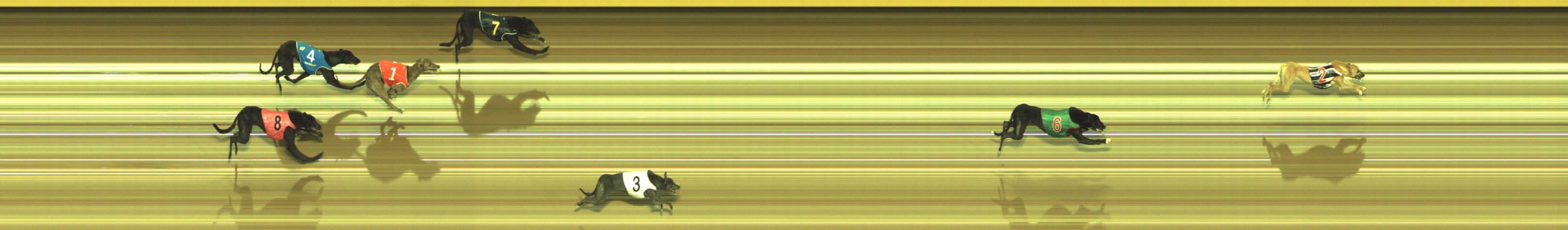 Photo finish for Geelong Race 3