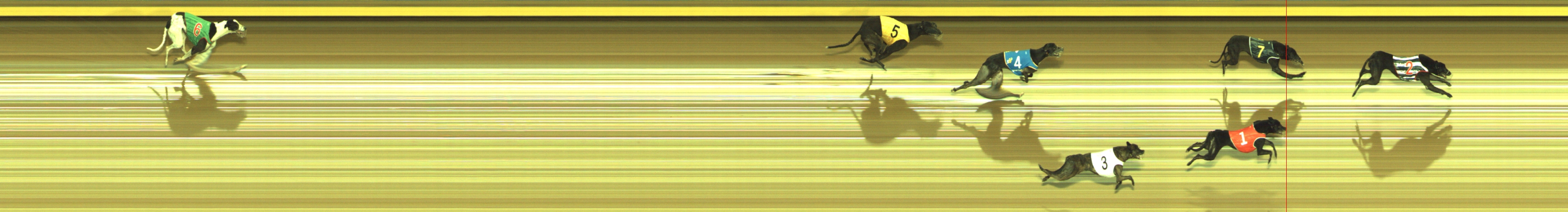 Photo finish for Geelong Race 4