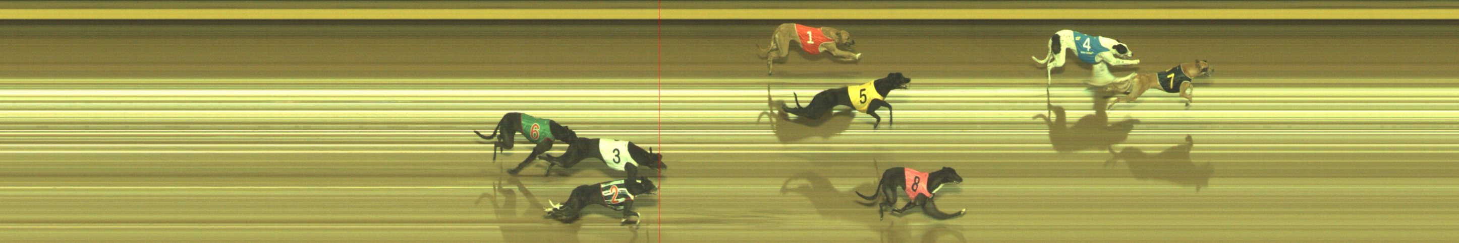 Photo finish for Geelong Race 5