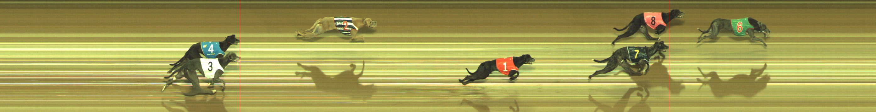 Photo finish for Geelong Race 6