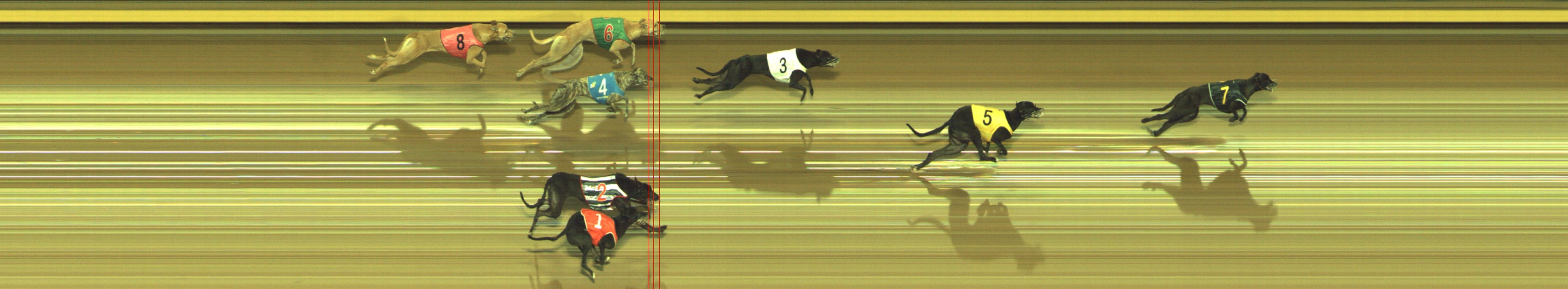 Photo finish for Geelong Race 7