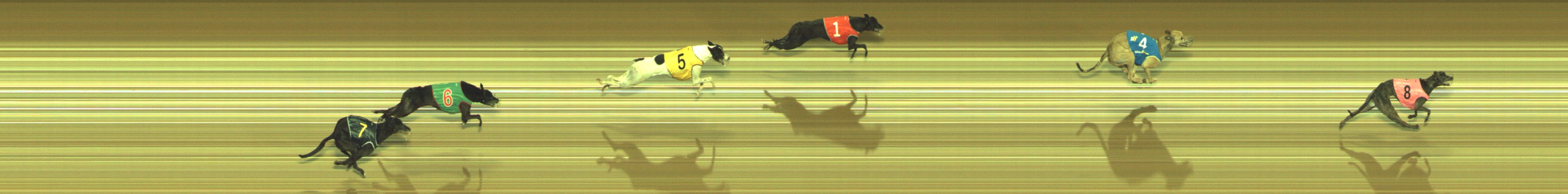 Photo finish for Geelong Race 8